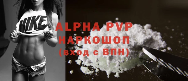сатива Осташков
