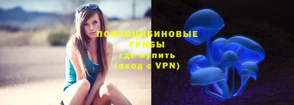 2c-b Осинники