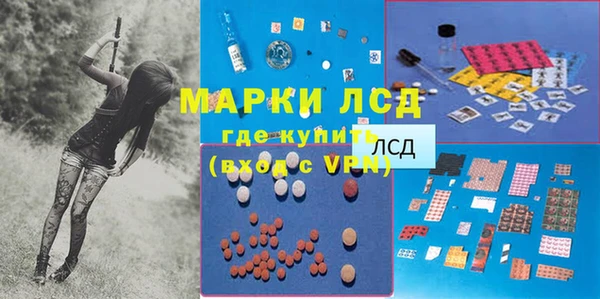 сатива Осташков