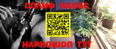 ГАЛЛЮЦИНОГЕННЫЕ ГРИБЫ Апшеронск