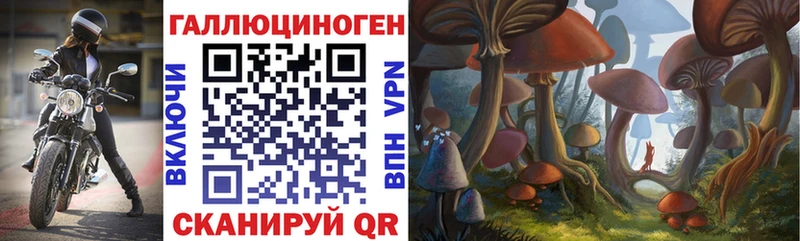 MEGA маркетплейс  Борзя  Псилоцибиновые грибы мицелий 